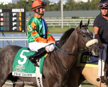 Frac Daddy with jockey Corey Lanerie on board in the Florida Derby post parade