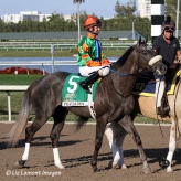 Frac Daddy with jockey Corey Lanerie on board in the Florida Derby post parade
